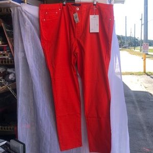 Lady’s Denim Jegging